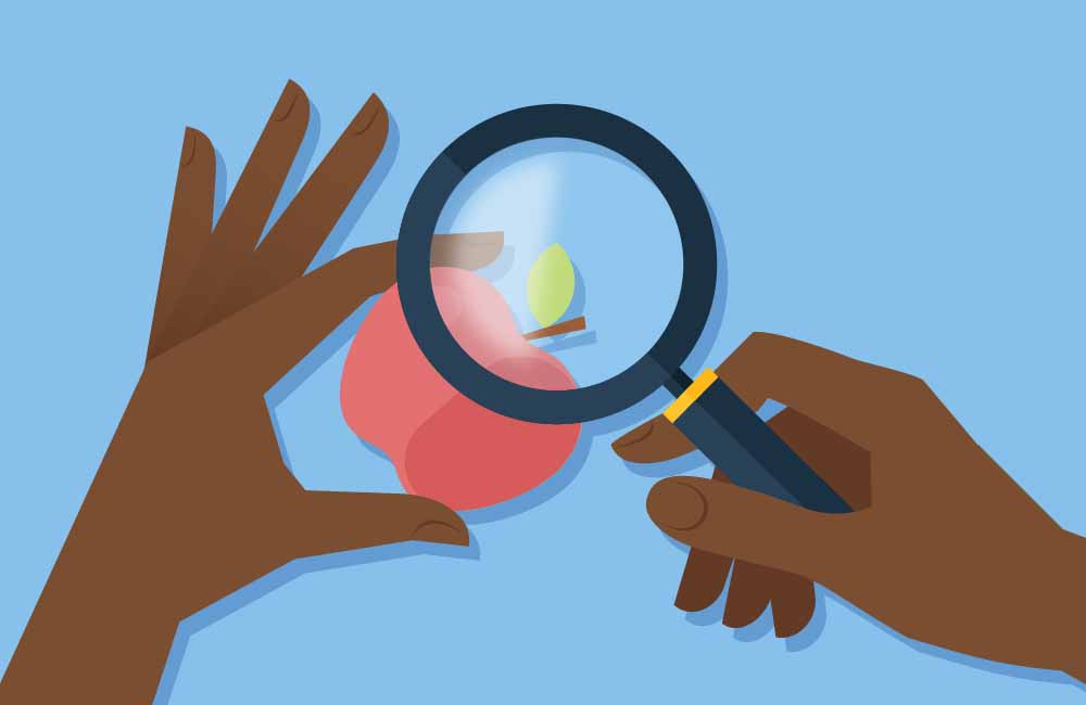 Apple Search is Already Here featured cover image