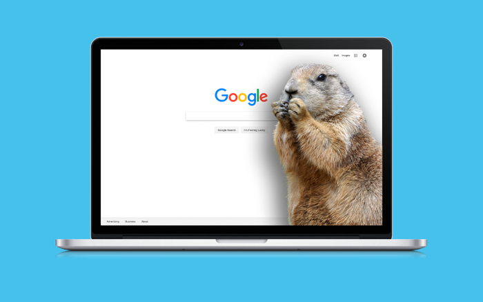Did the Groundhog Update Just Take Place at Google? featured cover image